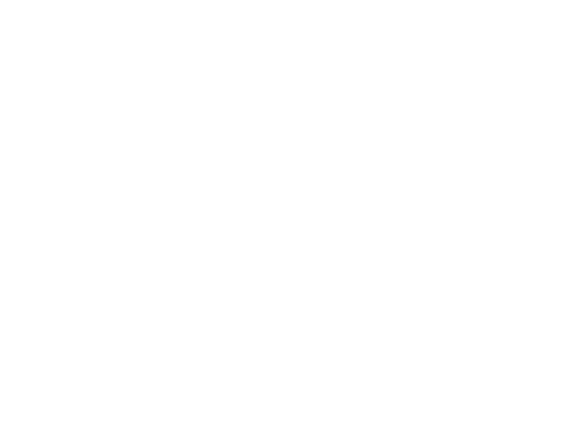 Santos Brasil